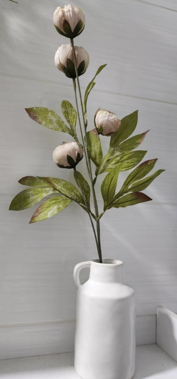 Ashland Tan Peony 12 Stems