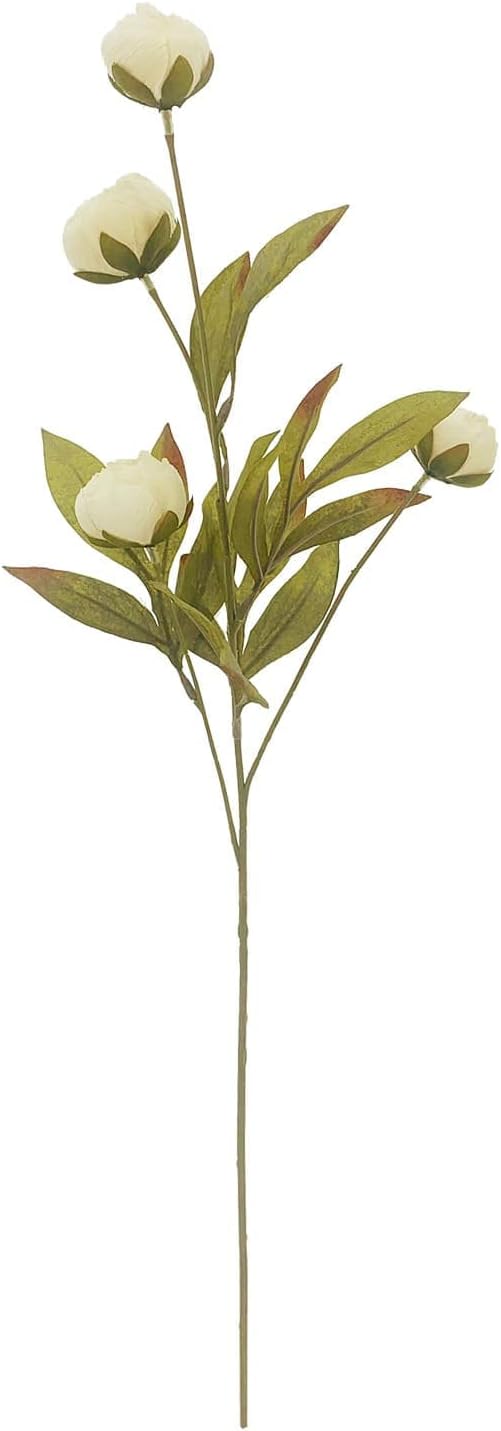 Ashland Cream Peony Stem