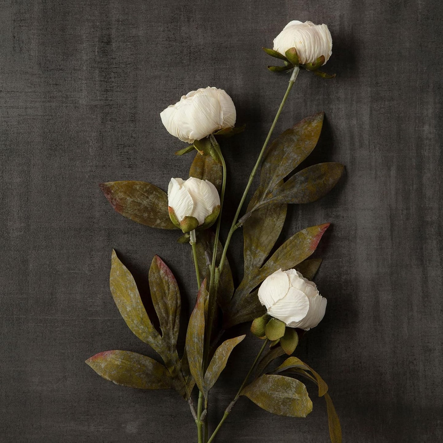 Ashland Cream Peony Stem