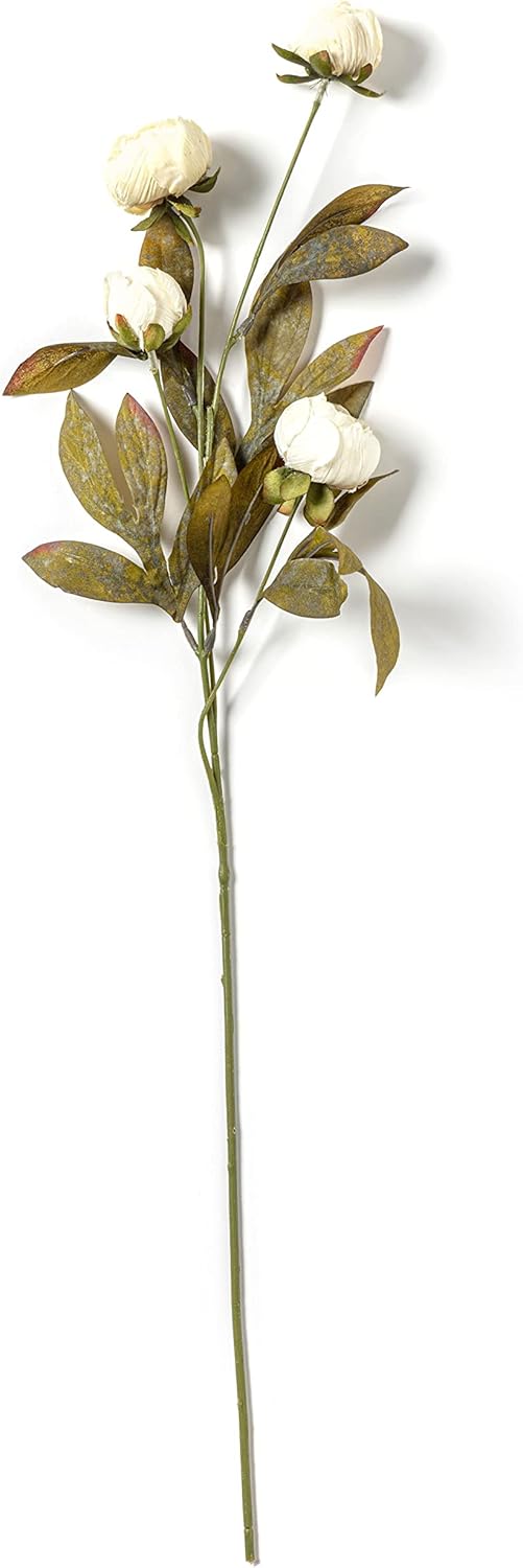 Ashland Cream Peony Stem