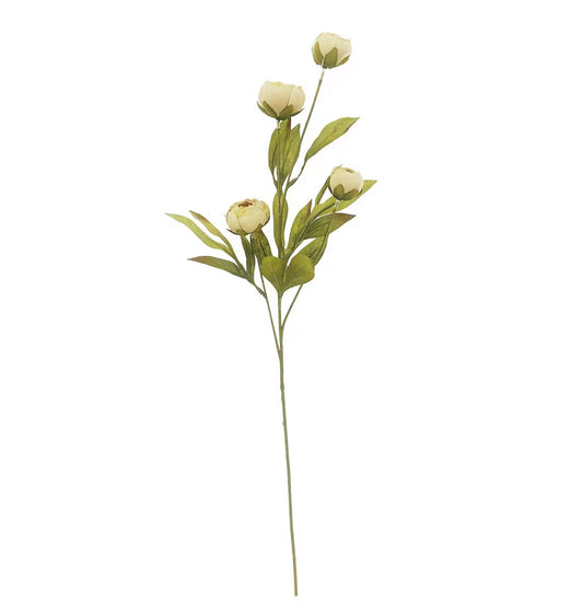 Ashland Tan Peony Stem – 3-Stem Bundle