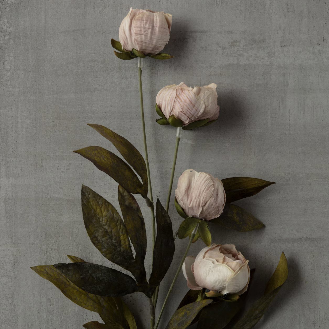 Ashland Tan Faux Peony Stem | Single Artificial Floral Accent
