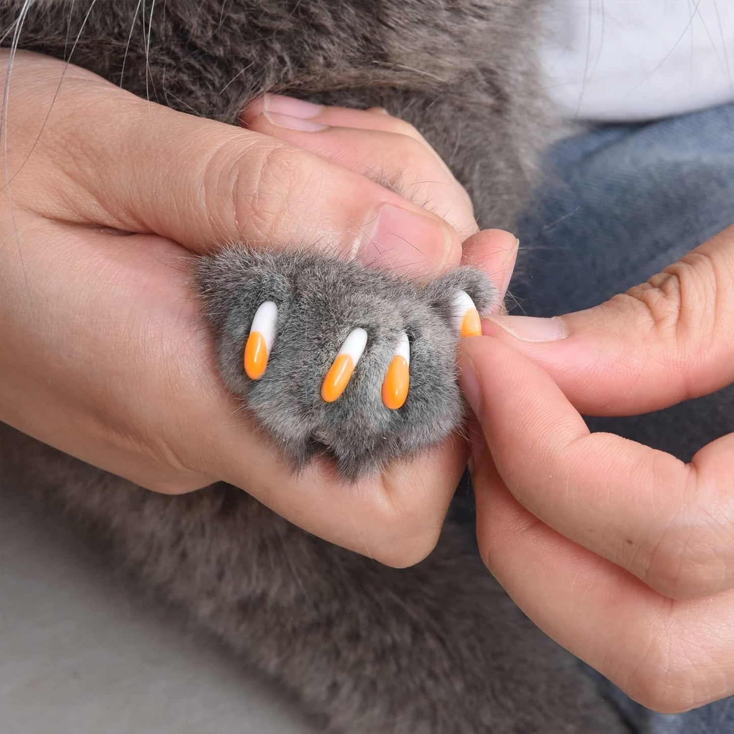 Kitty Caps Nail Caps for Cats | Safe, Stylish & Humane Alternative to Declawing | Stops Snags and Scratches, X-Small (Under 5 lbs), White with Orange & Clear with Blue Glitter, 40 Count (Pack of 3)