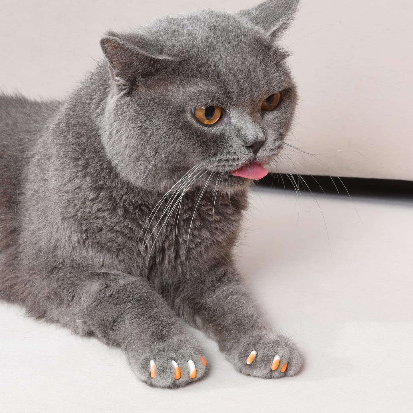 Kitty Caps Nail Caps for Cats | Safe, Stylish & Humane Alternative to Declawing | Stops Snags and Scratches, X-Small (Under 5 lbs), White with Orange & Clear with Blue Glitter, 40 Count (Pack of 3)