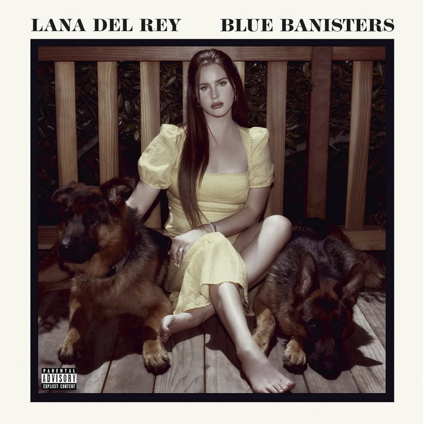 Lana Del Rey - Blue Banisters Vinyl Record